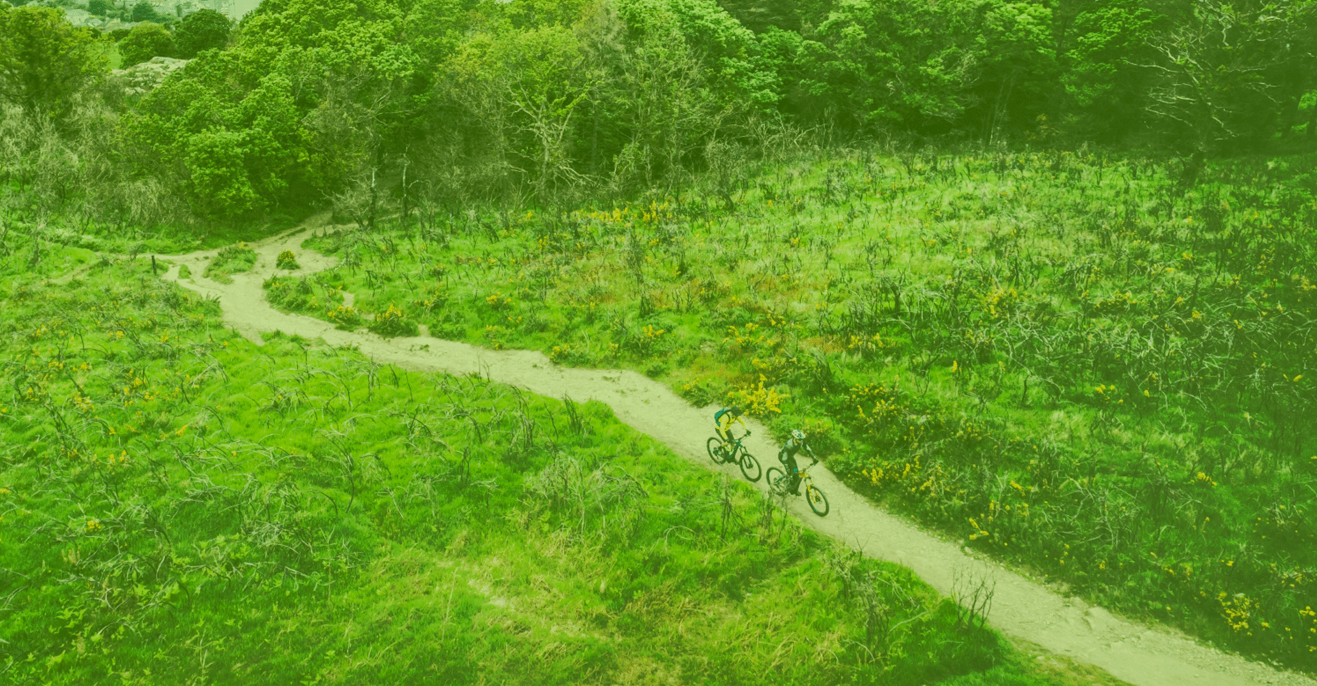 parallax background